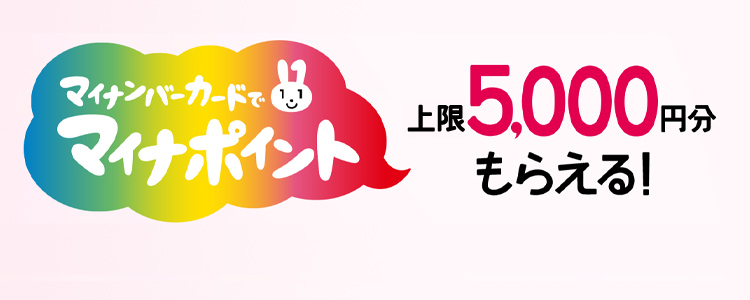 円 5000 マイ ナンバーカード